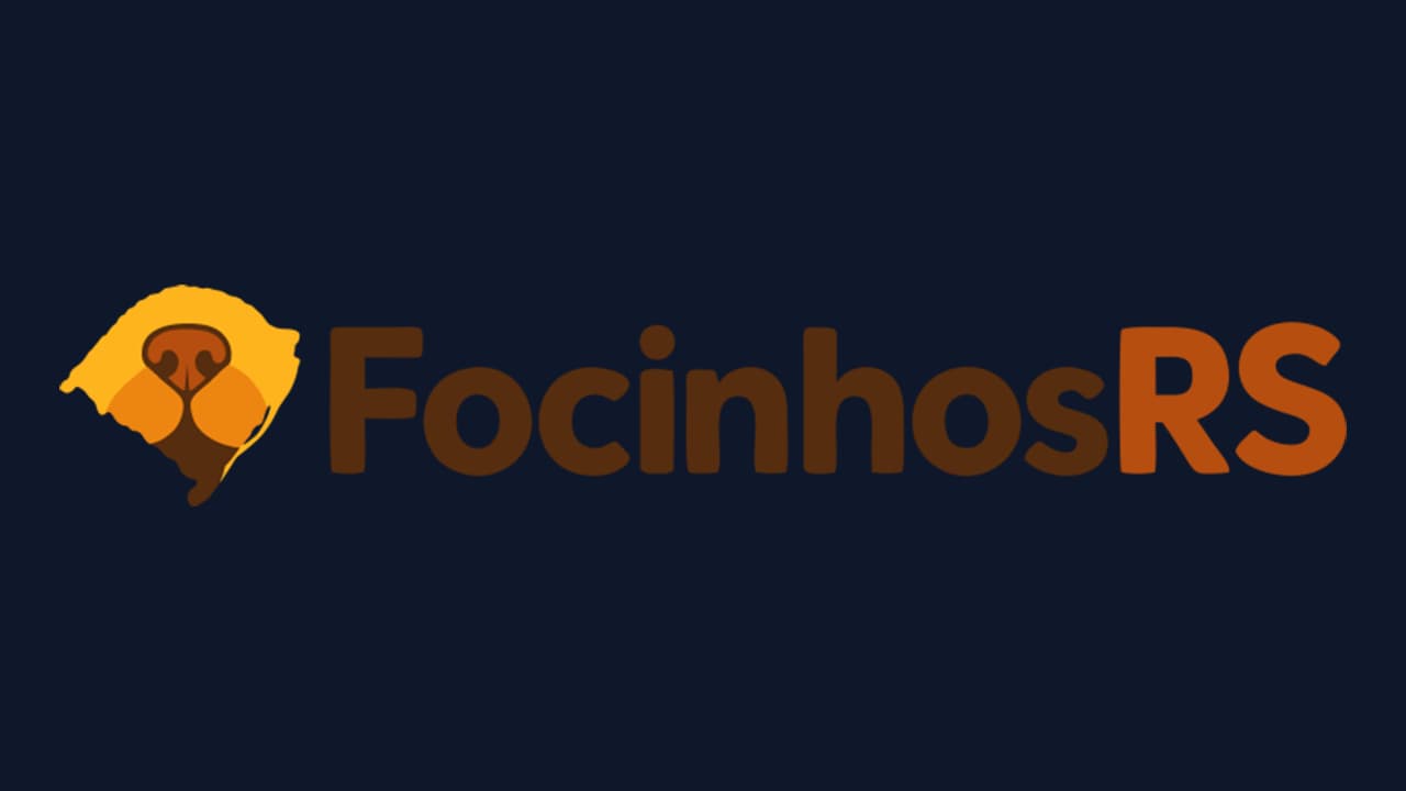 FocinhosRS: a plataforma gratuita que conecta pets a famílias em todo o Rio Grande do Sul