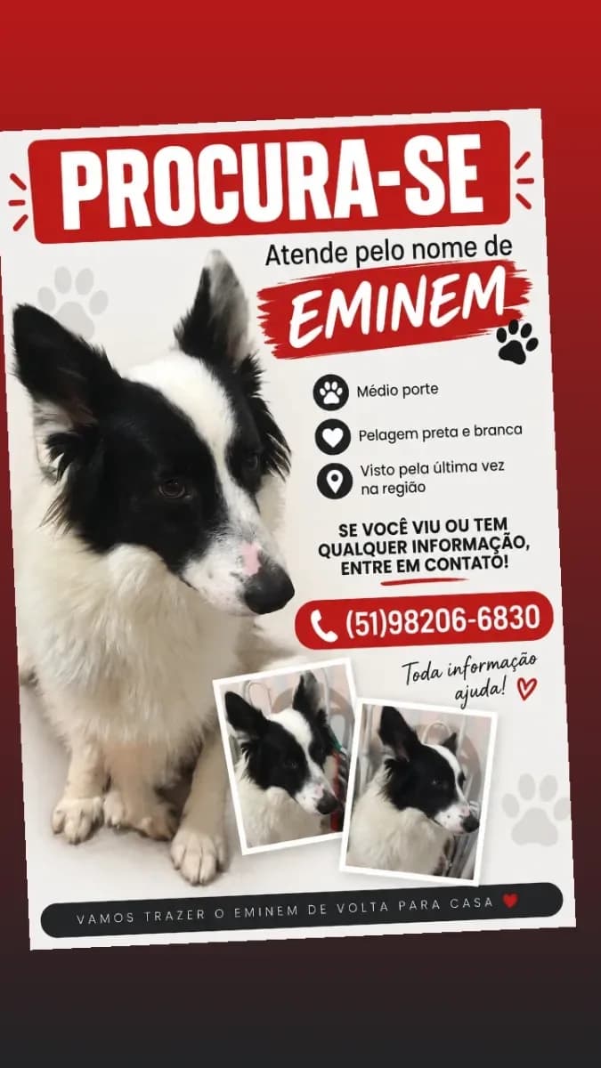 Foto de Perdido — Eminem em Gravataí, RS