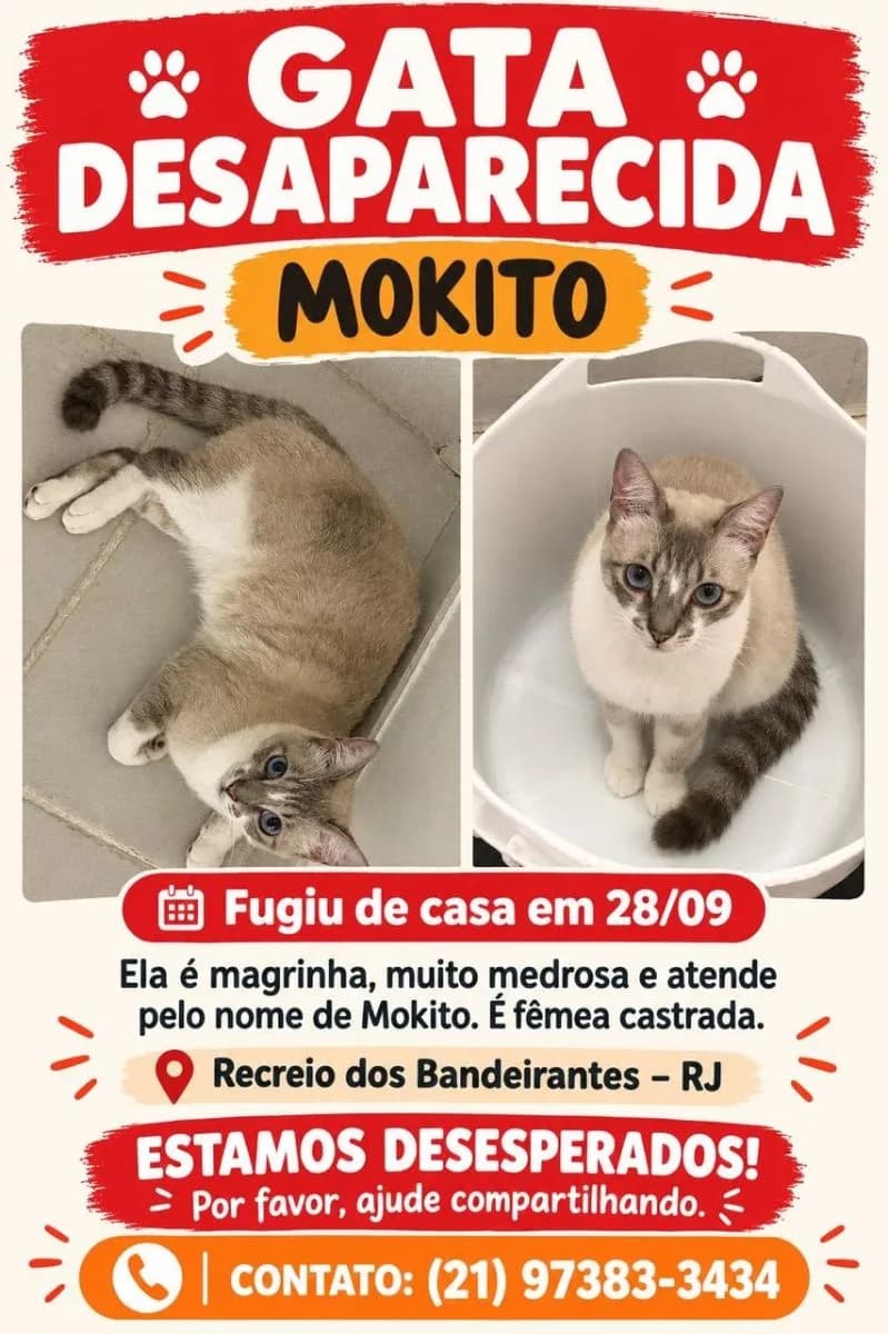 Foto de Perdido em Rio de Janeiro, RJ
