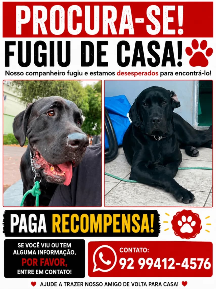🔴 Animal Perdido — Fugiu de casa Preto 