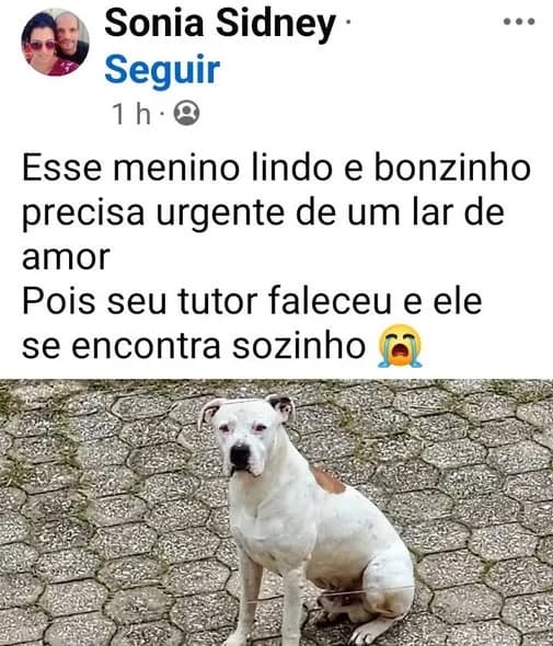 🟠 Caso de Abandono — Tutor faleceu e ele está na rua