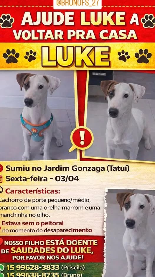 🔴 Animal Perdido — Luke