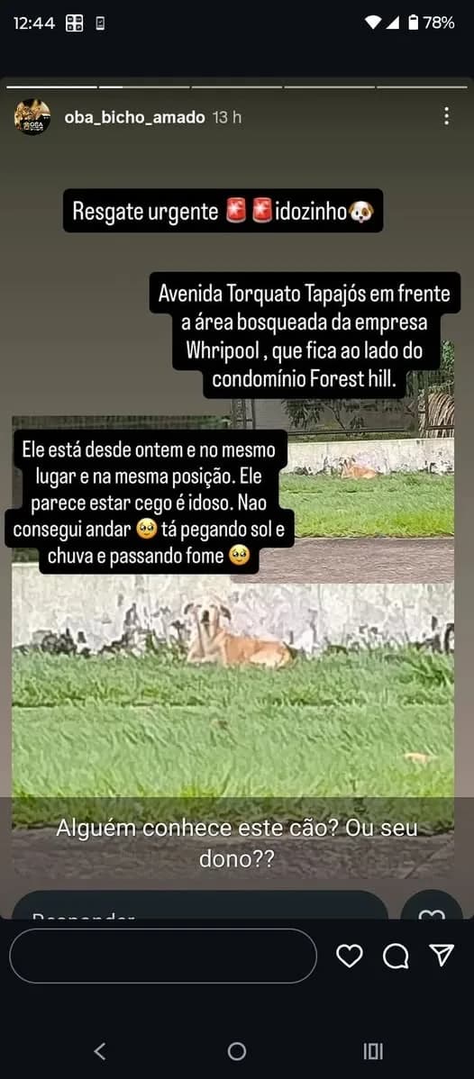 🟠 Caso de Abandono — Ele é idosinho e precisa de resgate
