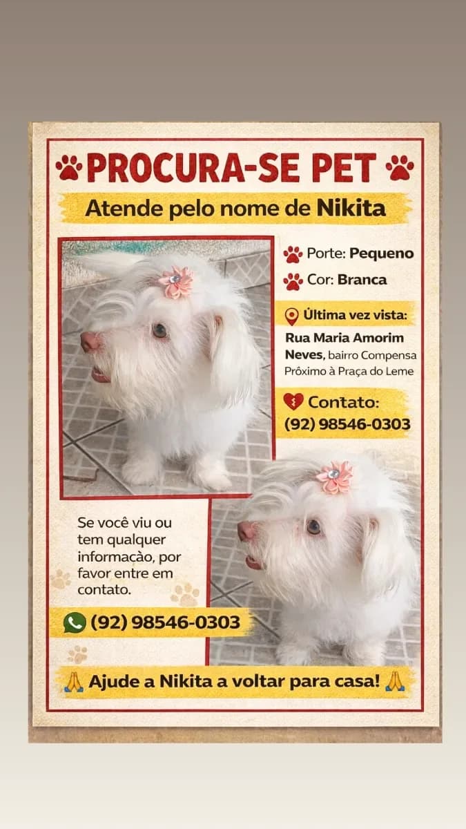 🔴 Animal Perdido — Nikita Desaparecida 