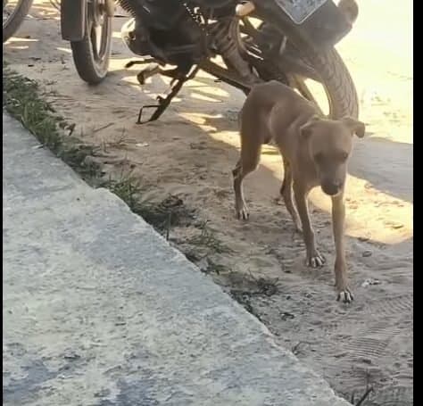 🟠 Caso de Abandono — Abandonado