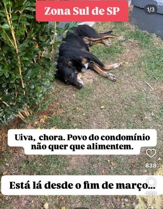 🟠 Caso de Abandono — Ele precisa de ajuda