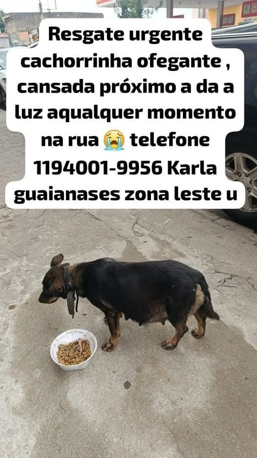 🟠 Caso de Abandono — Essa mãe precisa de ajuda
