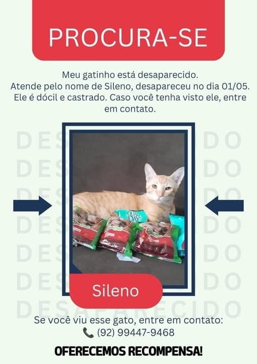 🔴 Animal Perdido — Sileno sumiu