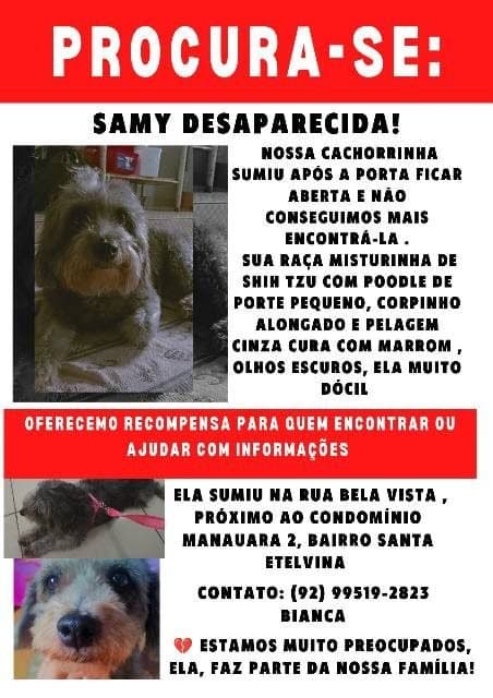 🔴 Animal Perdido — Samy