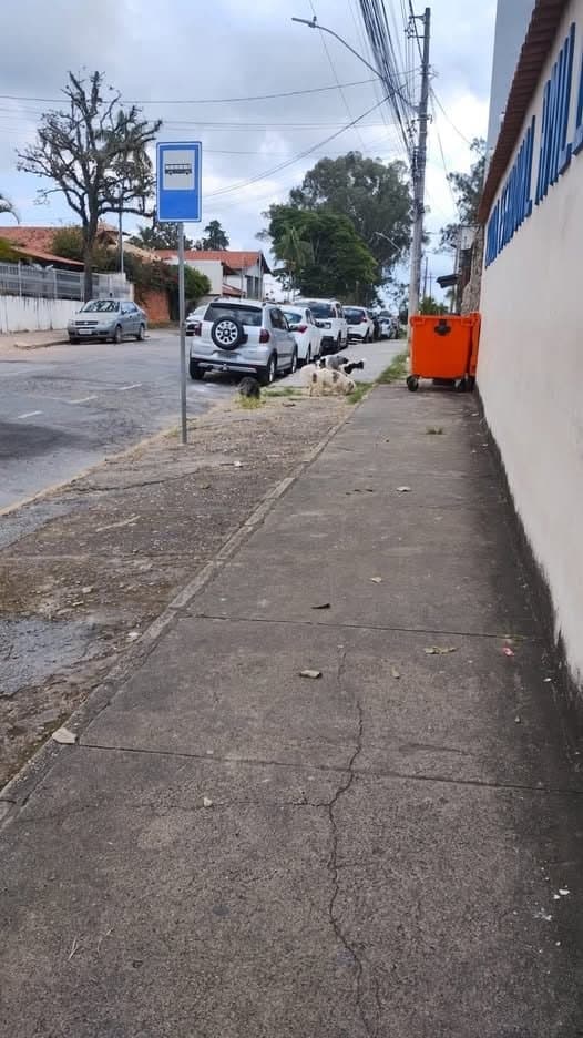 🟠 Caso de Abandono — Perdido ou abandonado