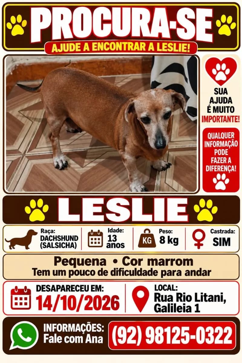 Foto de Perdido — Cachorra Salsicha castrada idosa em Manaus, AM
