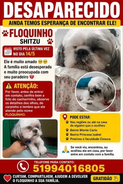 🔴 Animal Perdido — Floquinho