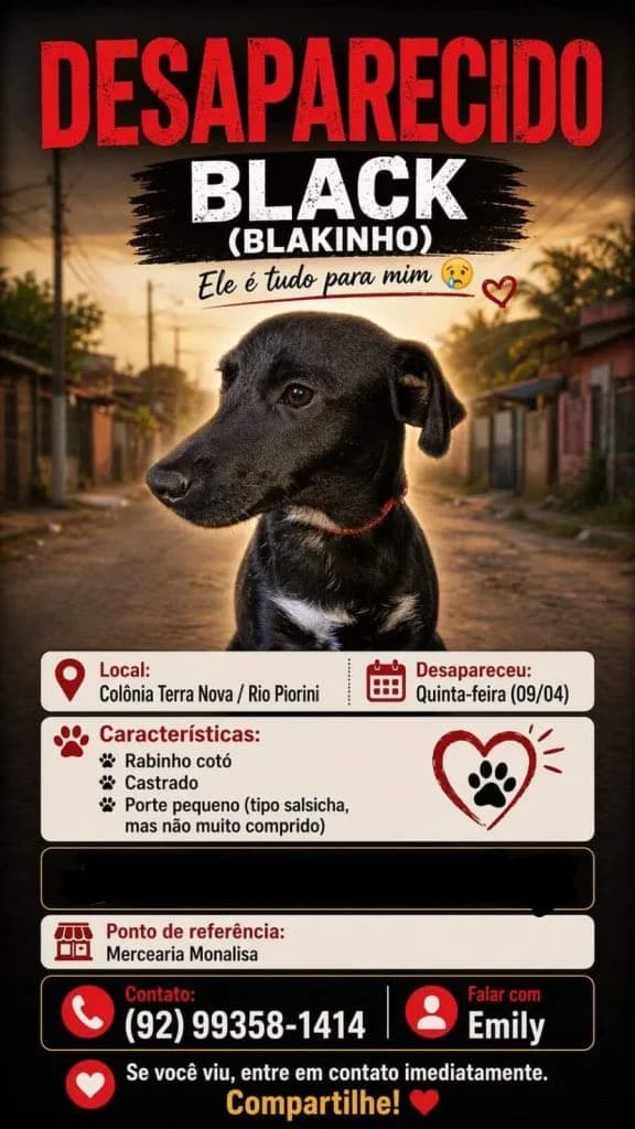 🔴 Animal Perdido — Ele é estilo salsicha, mas não muito, é castrado também, estava sem coleira.