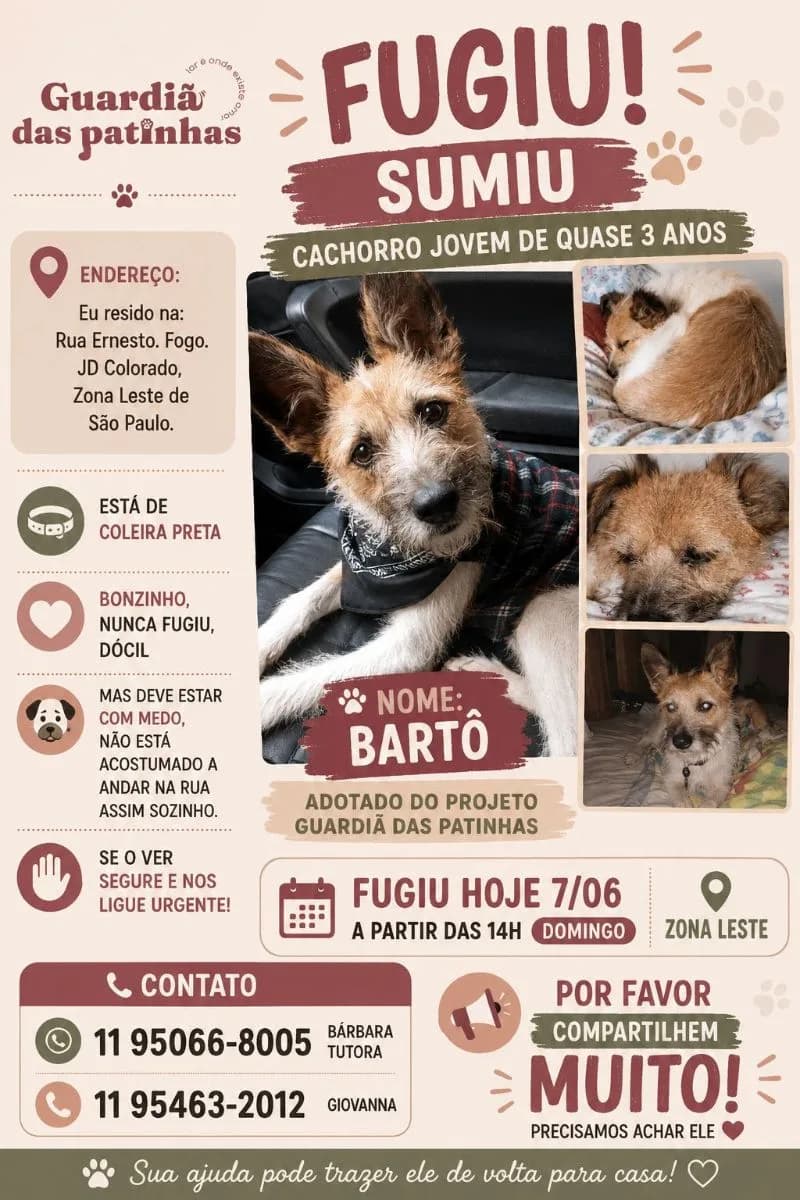 🔴 Animal Perdido — Barthor Fugiu