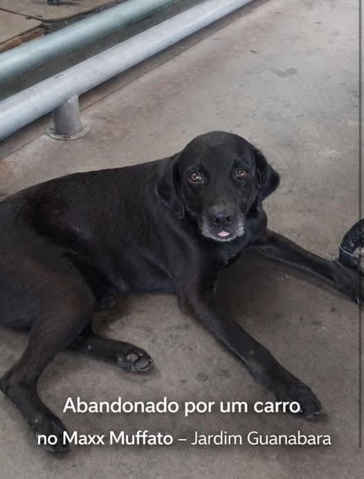 🟠 Caso de Abandono — Abandono no Max Muffato